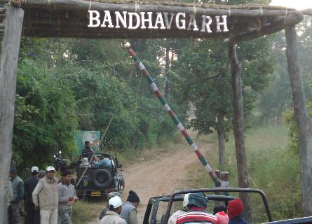 Bandhavgarh National Park